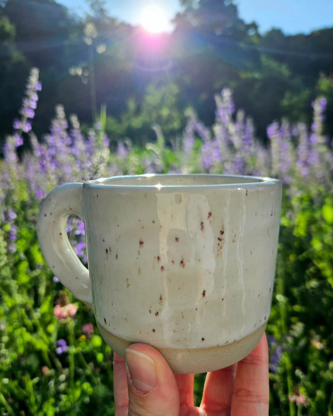 Gesprenkelte Tasse vor Lavendel in der Morgensonne